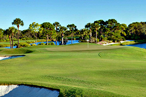 pelicans nest golf club golf course