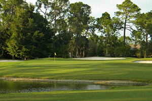 royal palm country club golf courses