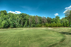 holly tree country club