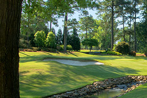 raleigh country club