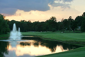 starmount forest country club