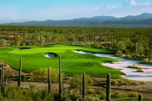 the golf club at dove mountain