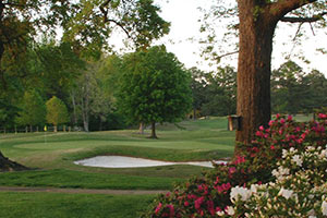 greenville country club