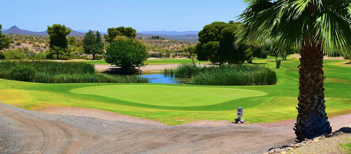 Wickenburg Country Club Membership and Club Information