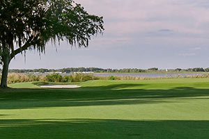 The country club of winter haven