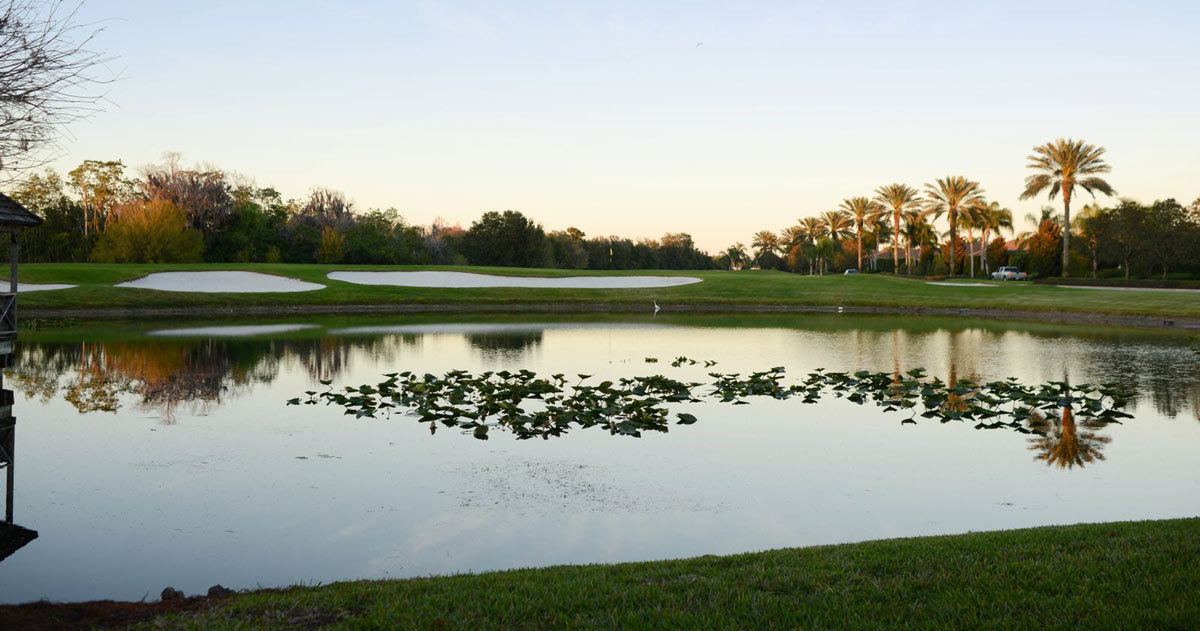 Lake Ashton Golf Club Membership and Club Information