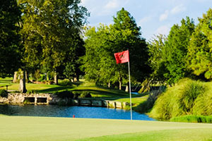pine forest country club