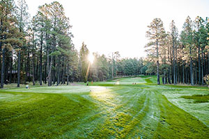 pinetop country club